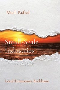 bokomslag Small-Scale Industries