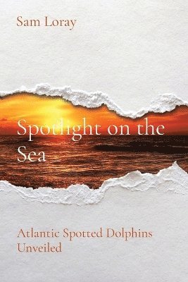 Spotlight on the Sea 1