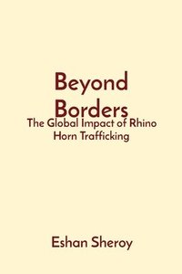 bokomslag Beyond Borders