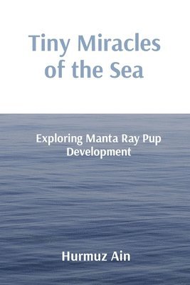Tiny Miracles of the Sea 1