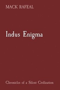 bokomslag Indus Enigma