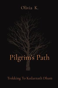 bokomslag Pilgrim's Path