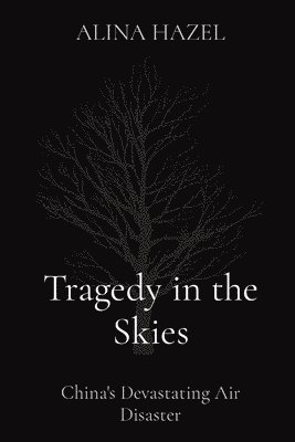 bokomslag Tragedy in the Skies