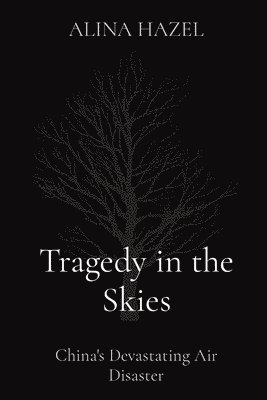 bokomslag Tragedy in the Skies: China's Devastating Air Disaster