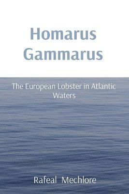 Homarus Gammarus 1