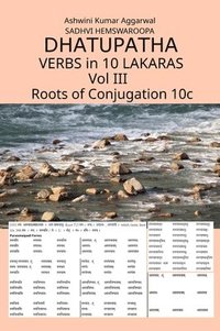 bokomslag Dhatupatha Verbs in 10 Lakaras Vol III