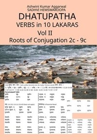 bokomslag Dhatupatha Verbs in 10 Lakaras Vol II: Roots of Conjugation 2c - 9c