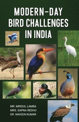 Mridul Lamba, Sapna Redhu, Naveen Kumar - Modern-Day Bird Challenges in India, Häftad