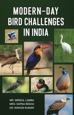 bokomslag Modern-Day Bird Challenges in India