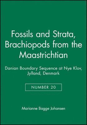 bokomslag Brachiopods from the Maastrichtian