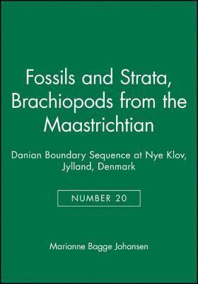 bokomslag Brachiopods from the Maastrichtian