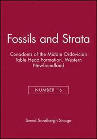bokomslag Conodonts of the Middle Ordovician Table Head Formation, Western Newfoundland