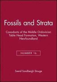 bokomslag Conodonts of the Middle Ordovician Table Head Formation, Western Newfoundland