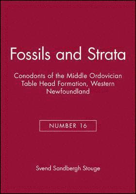 bokomslag Conodonts of the Middle Ordovician Table Head Formation, Western Newfoundland