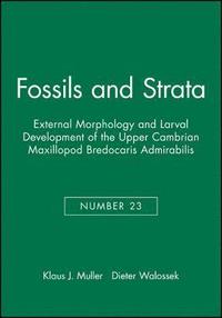 bokomslag External Morphology and Larval Development of the Upper Cambrian Maxillopod Bredocaris Admirabilis