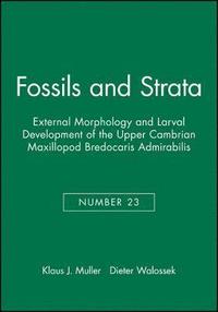 bokomslag External Morphology and Larval Development of the Upper Cambrian Maxillopod Bredocaris Admirabilis