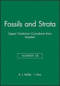 bokomslag Upper Cambrian Conodonts from Sweden