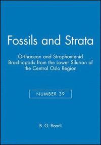 bokomslag Orthacean and Strophomenid Brachiopods from the Lower Silurian of the Central Oslo Region