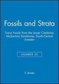 bokomslag Trace Fossils from the Lower Cambrian Mickwitzia Sandstone, South-Central Sweden