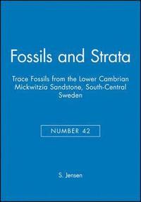 bokomslag Trace Fossils from the Lower Cambrian Mickwitzia Sandstone, South-Central Sweden