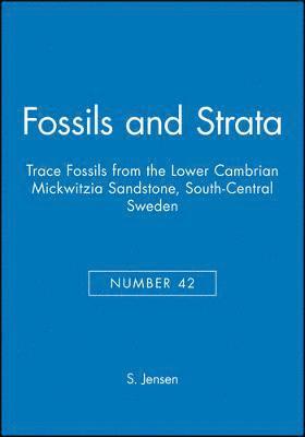 bokomslag Trace Fossils from the Lower Cambrian Mickwitzia Sandstone, South-Central Sweden