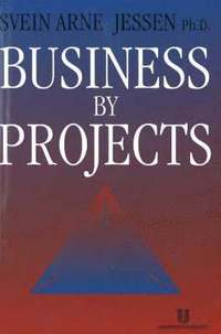 bokomslag Business by Projects