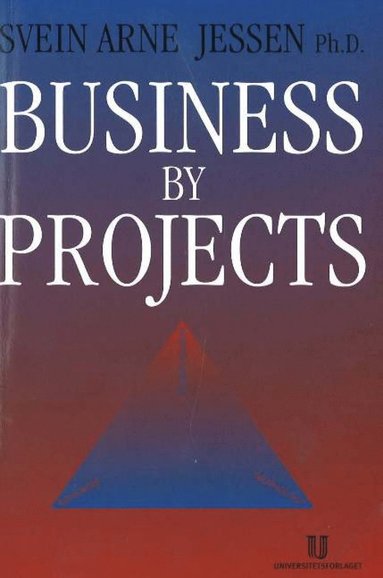 bokomslag Business by Projects