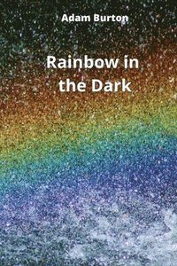 bokomslag Rainbow in the Dark