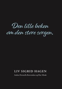 bokomslag Den lille boken om den store sorgen