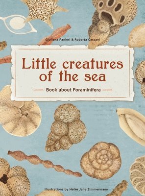 bokomslag Little Creatures of the Sea - Book about Foraminifera