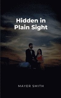 bokomslag Hidden in Plain Sight