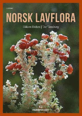 bokomslag Norsk lavflora