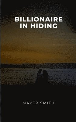bokomslag Billionaire in Hiding