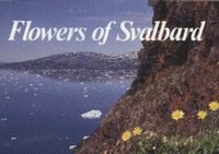 bokomslag Flowers of Svalbard