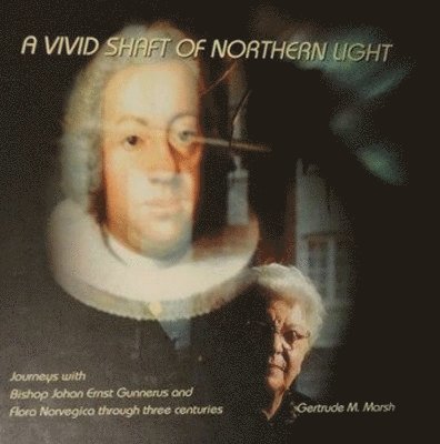 Vivid Shaft of Northern Light 1