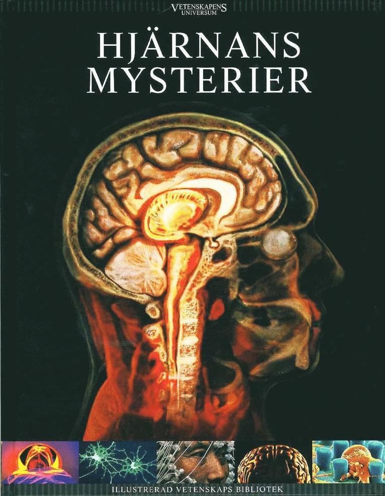 Hjärnans mysterier 1
