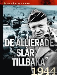 bokomslag De allierade slår tillbaka