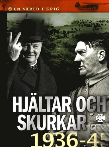 bokomslag Hjältar och skurkar