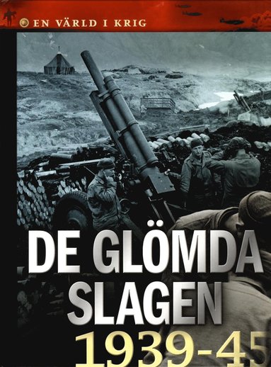 bokomslag De glömda slagen