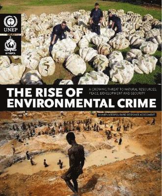 bokomslag The rise of environmental crime