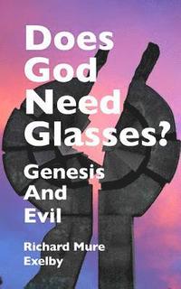 bokomslag Does God Need Glasses?
