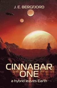 bokomslag Cinnabar One