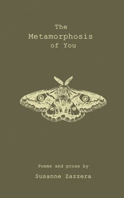 bokomslag Metamorphosis of You