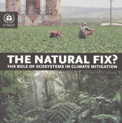 The Natural Fix? 1