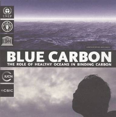 bokomslag Blue Carbon