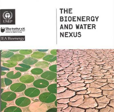 United Nations Environment Programme, Serge Wich - Orangutans and the economics of sustainable forest management in Sumatra, Häftad