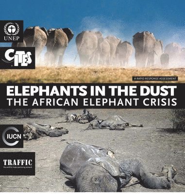 Elephants in the dust 1