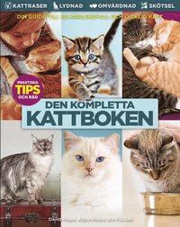 bokomslag Kattboken : från A till Ö