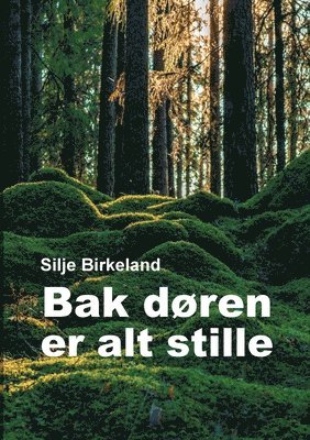 bokomslag Bak dren er alt stille