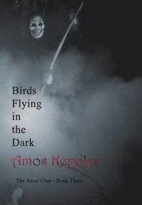 bokomslag Birds Flying in the Dark